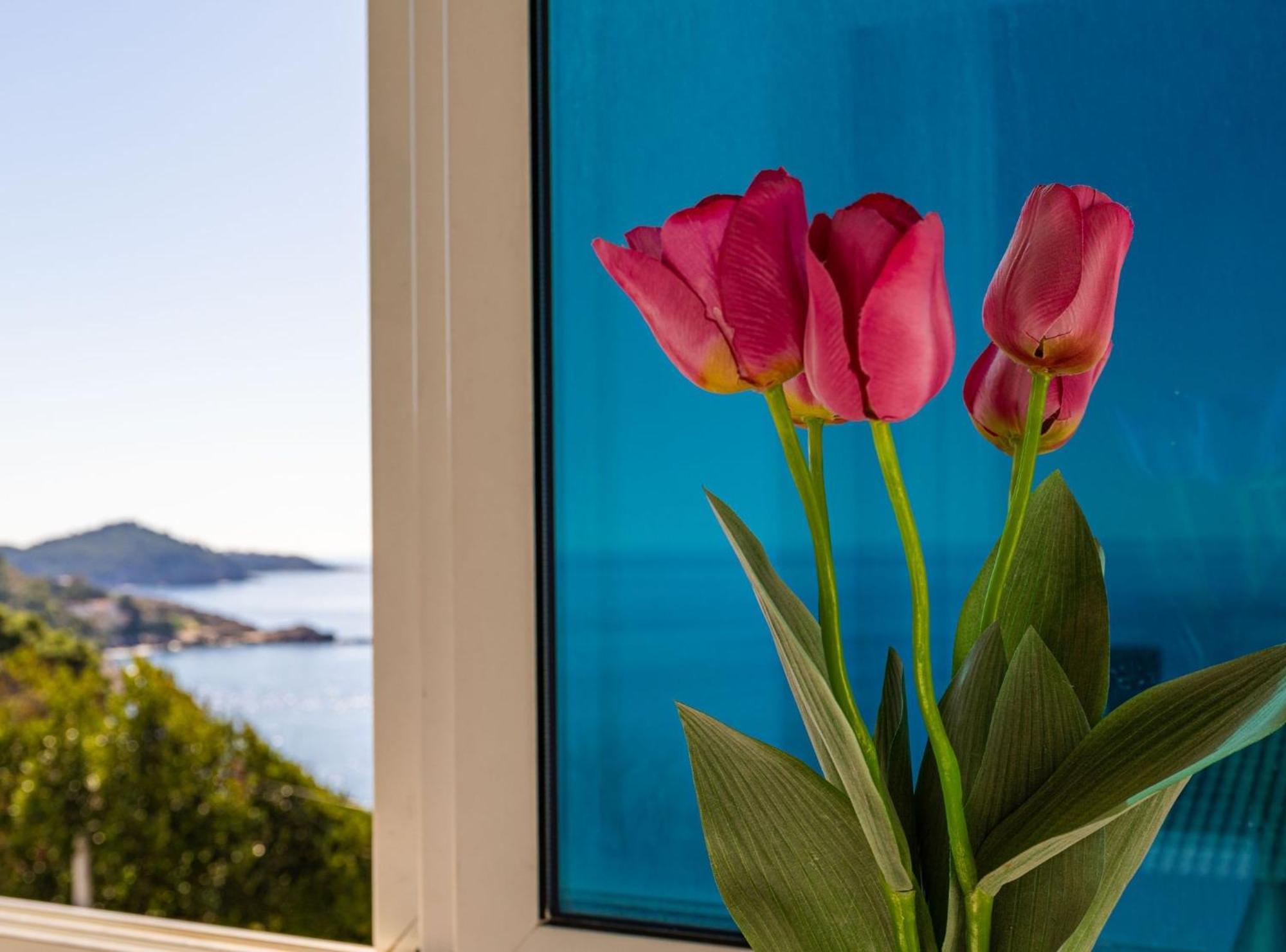 Apartment Butterfly Dubrovnik Ngoại thất bức ảnh